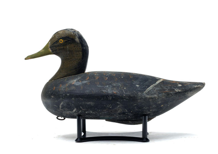 John Glenn – Black duck – 2026