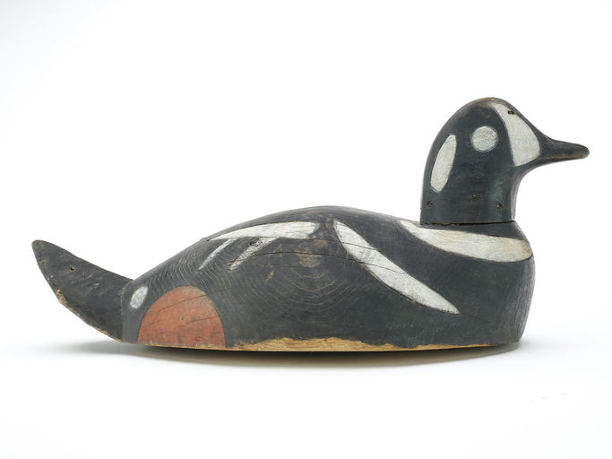 George May – Harlequin Duck – 2024