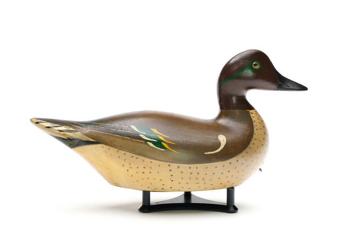 Charles Bergman – Green-winged Teal – 2026