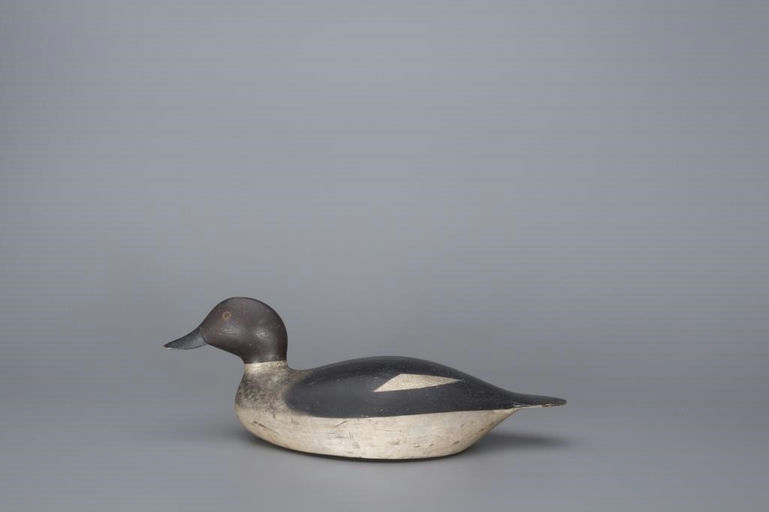 Allen P. Stuart – Goldeneye Hen – 2017