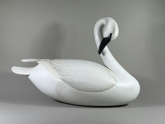 George Strunk – Swan – 2026