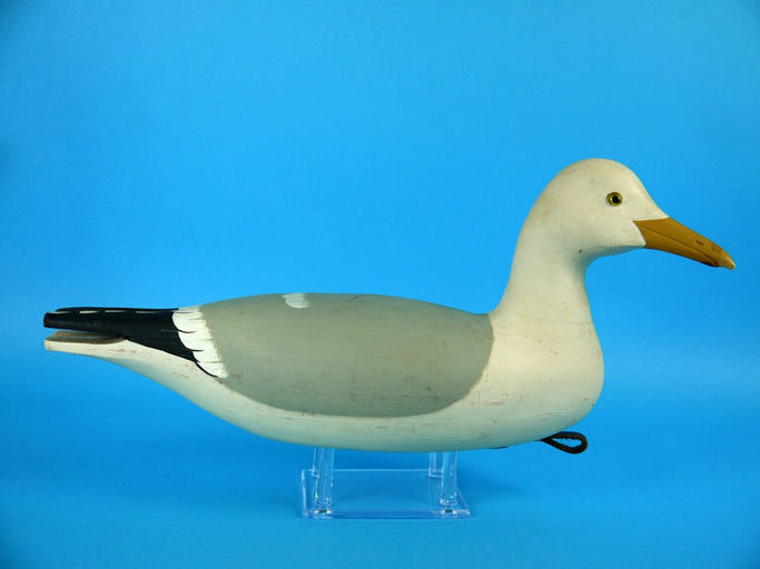 Art Birdsall – Herring Gull – 2026