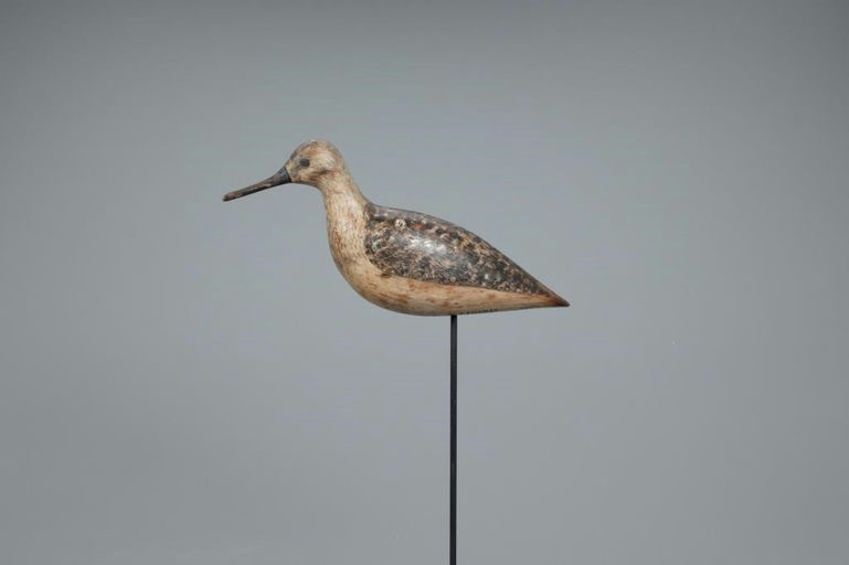 Harry V. Shourds – Yellowlegs – 2020