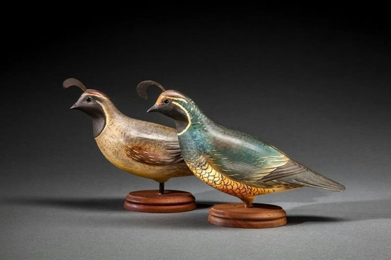 Bill Gibian – California Quail and Gambel's Quail – 2014