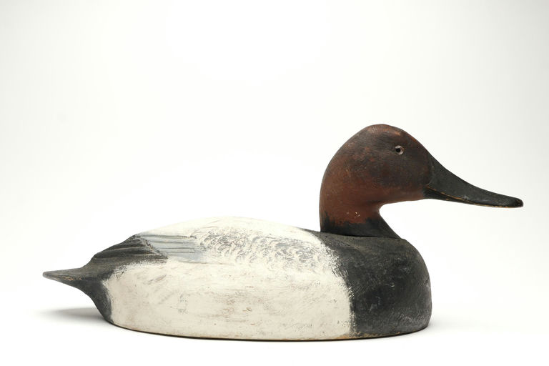 Ben Schmidt – Canvasback Drake – 2026