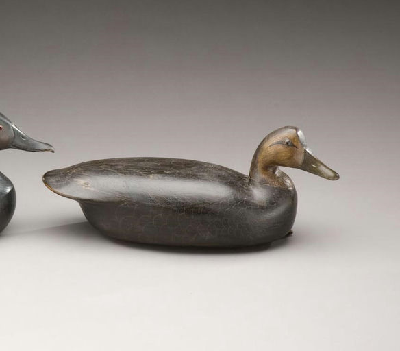 Bill Brown – Black Duck – 2009