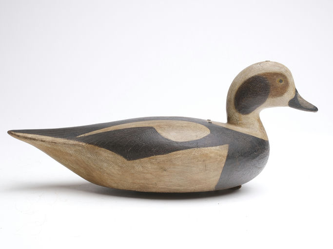 Mark McNair – Longtail duck – 2023