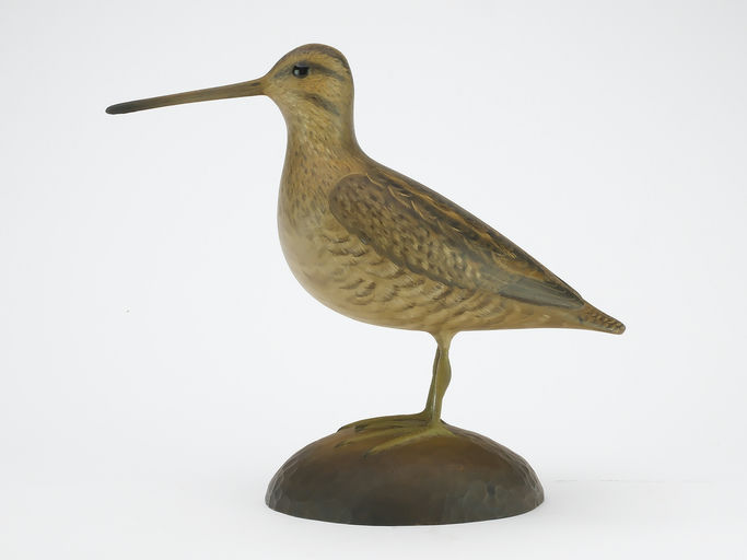 George Strunk – Snipe – 2024