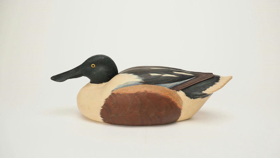 George Walker — Shoveler Drake