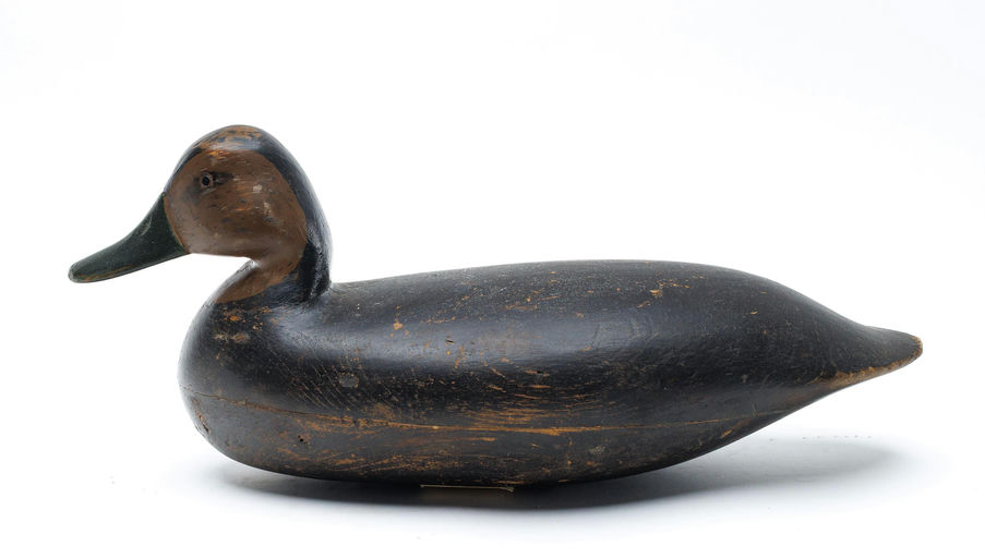 Harry V. Shourds – Black duck – 2026