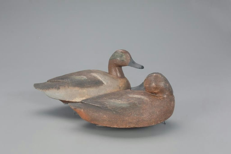 Joseph Shimon – Green-Winged Teal Pair – 2021