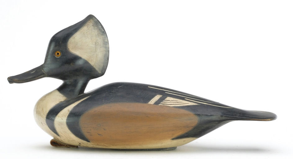 Pete Peterson – Hooded Merganser – 2024