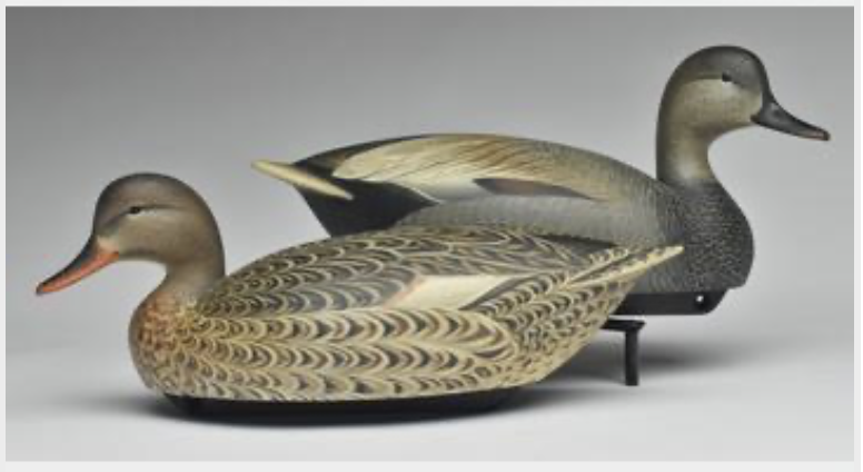Marty Hanson – Gadwall