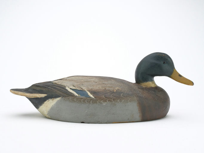 Ben Schmidt – Mallard – 2024