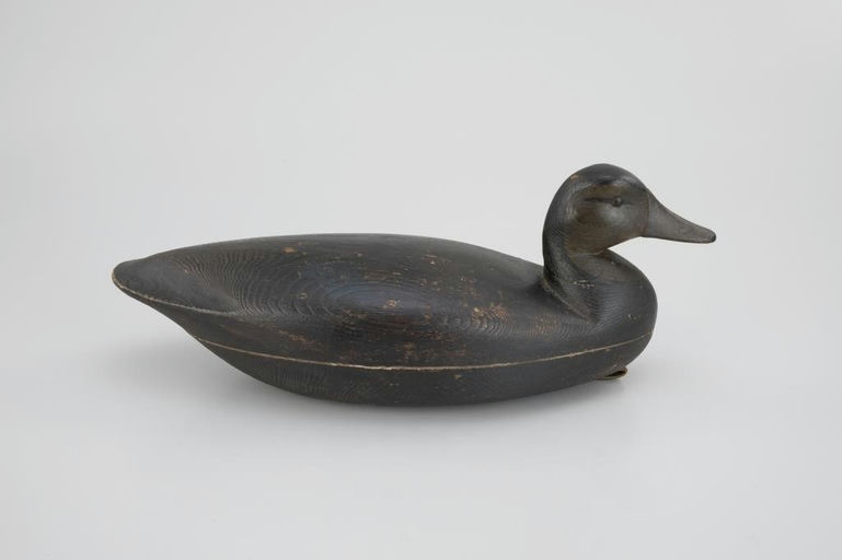 Jesse Birdsall – Black Duck – 2026