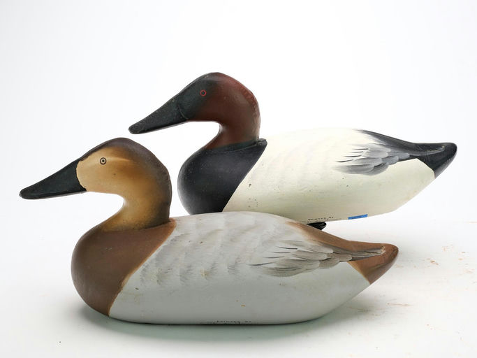 Charlie Joiner – Pair of Canvasbacks – 2025