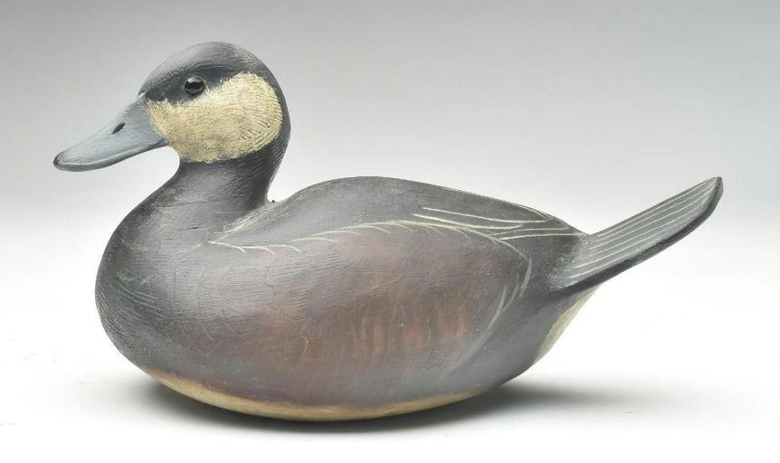 Reggie Birch – Ruddy duck – 2023