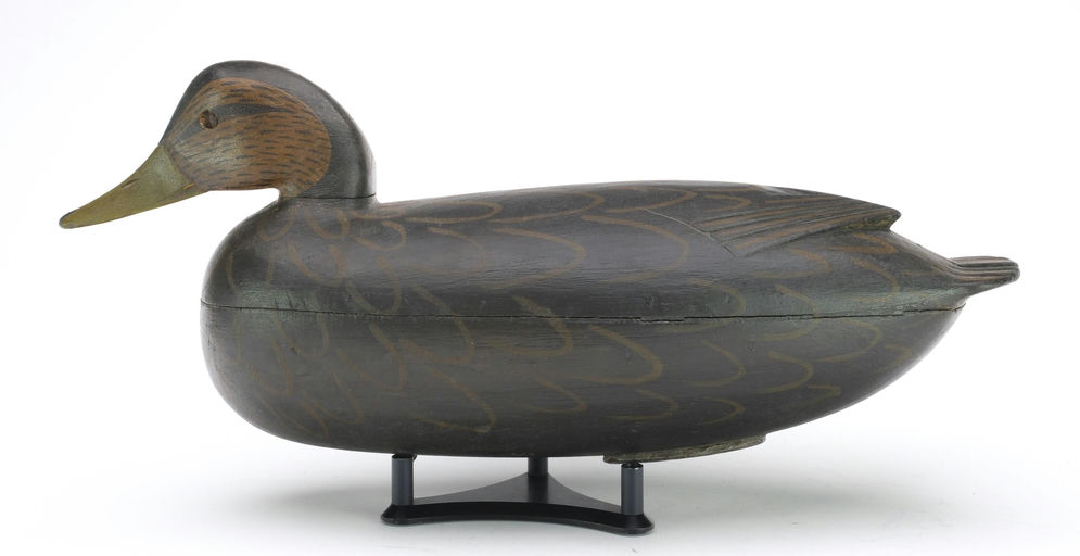 Jess Heisler – Black Duck – 2024