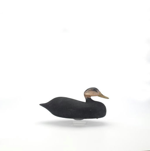 Clark Madera – Black Duck – 2021
