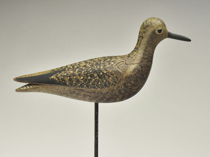 Mark McNair – Slot neck Black bellied plover – 2023