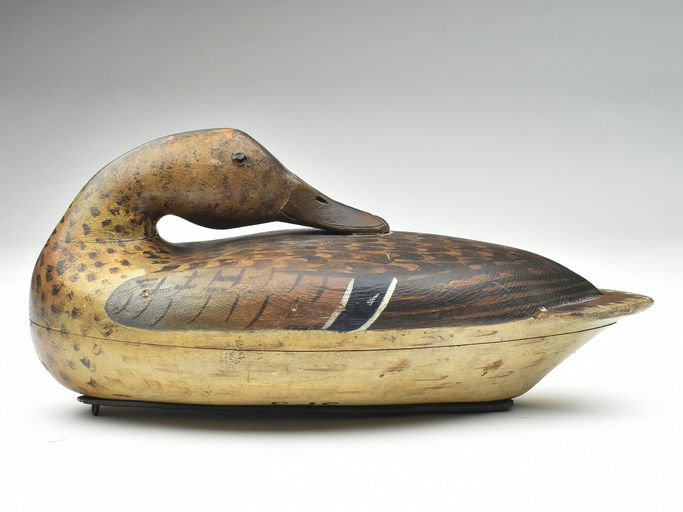Bert Graves – Mallard – 2023