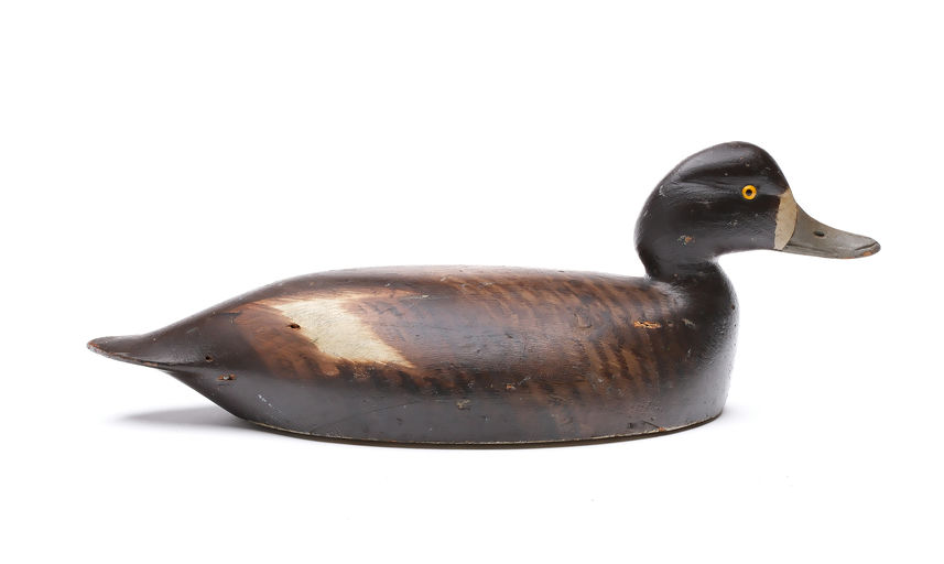 Chauncey Wheeler – Scaup – 2025