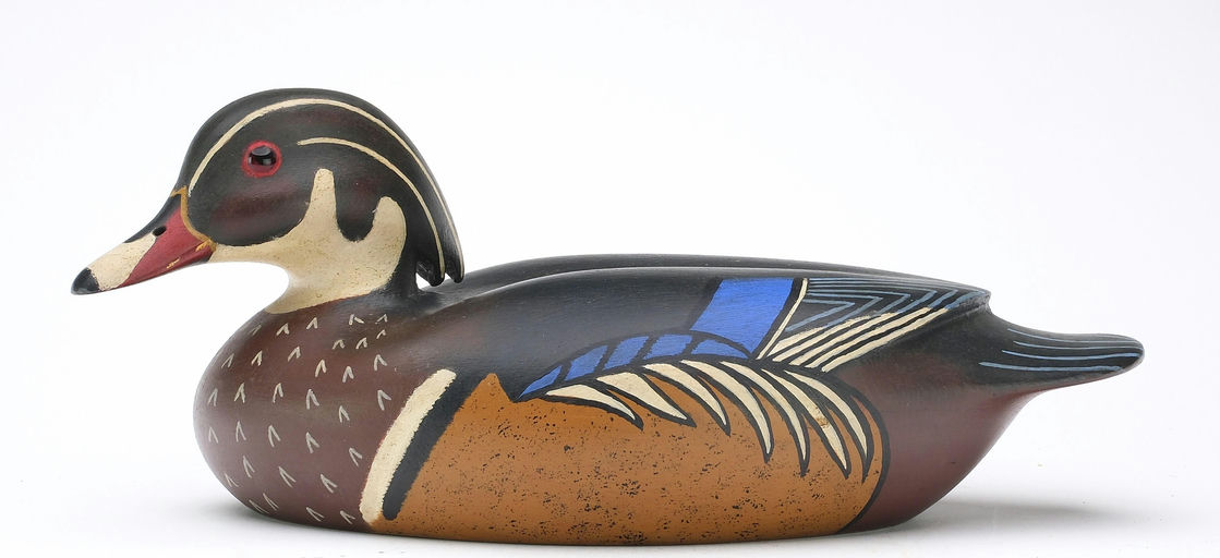 John McLoughlin – Wood Duck – 2024