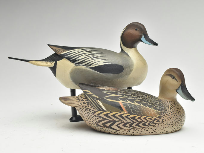 Ward Brothers – Pair of pintails – 2023