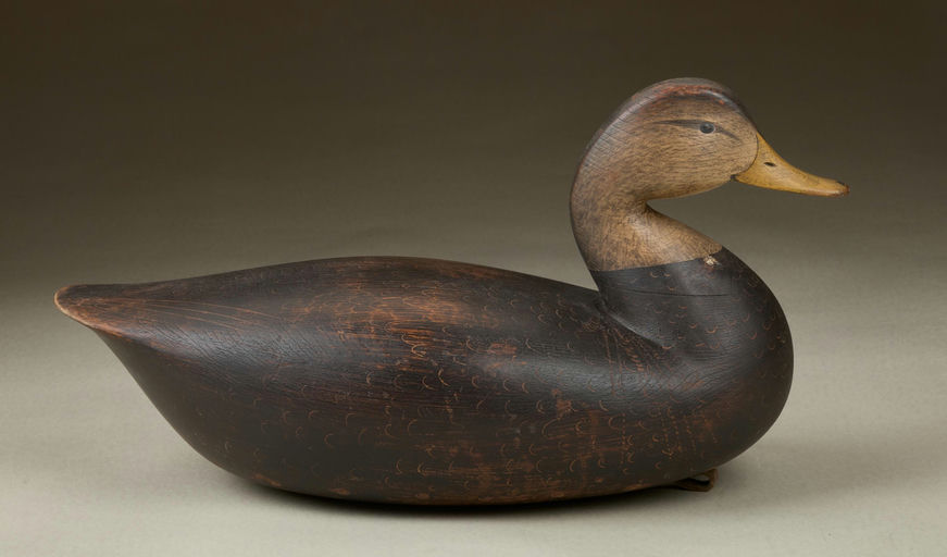 Cameron McIntyre – Black Duck – 2025