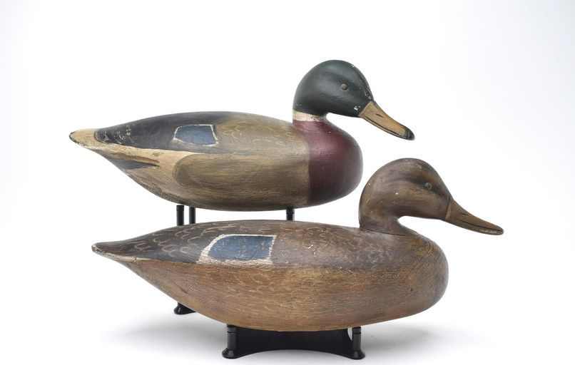 Ira Hudson – Pair of Mallard – 2025