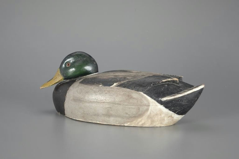 Ferdinand L. Homme – Tucked-head Mallard – 2024