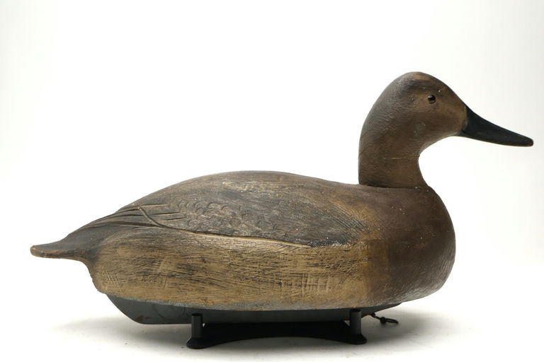 Ben Schmidt – Canvasback Hen – 2026