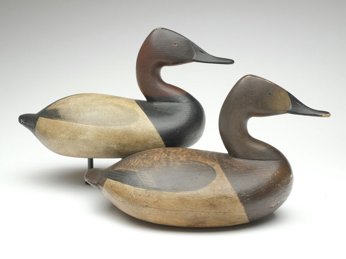 Cameron McIntyre – Pair of Canvasback – 2023