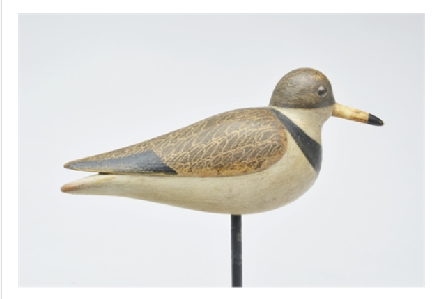 Mark McNair – Semipalmated Plover – 2021