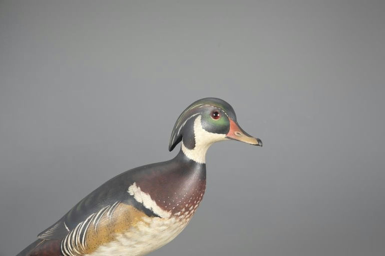 Elmer Crowell – Early Wood Duck Drake – 2024