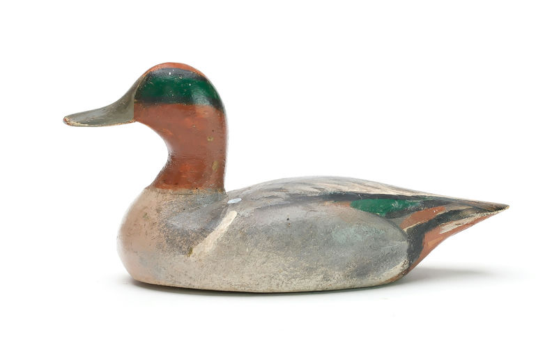 Duncan Ducharme — Green-winged Teal