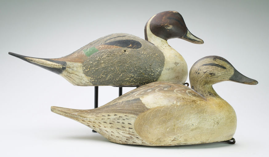 Reggie Birch – Pintail – 2024