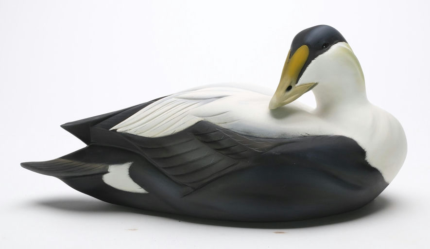 Sean Sutton – Eider – 2024