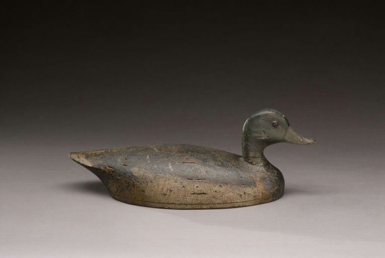 Charles Reeves – Mallard Drake – 2009