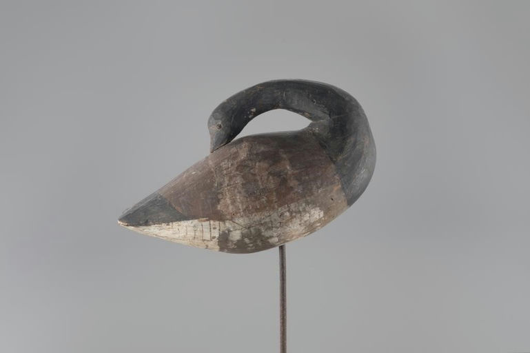 John Brooks – Preening Brant – 2024
