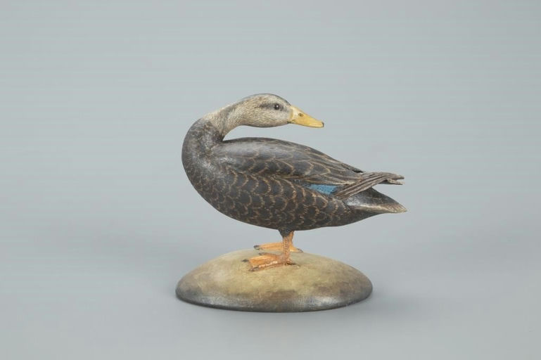 Frank Finney – Miniature Preening Black Duck – 2022