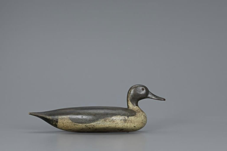 Charles Schoenheider, Sr. – Rare Pintail Drake – 2019