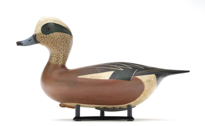 Pete Peterson – Wigeon – 2025