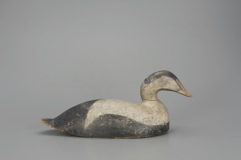 Phineas Alexander – Eider – 2018