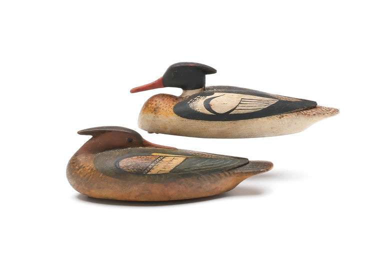 Mark McNair – Pair of Red-breasted Merganser – 2026