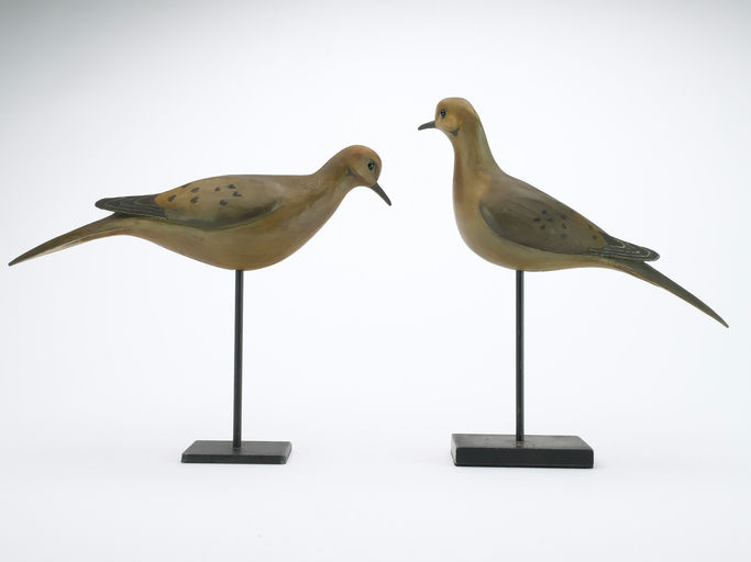 Bill Gibian – Pair of Dove – 2024