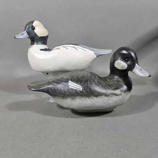 Herb Daisey – Bufflehead – 2026