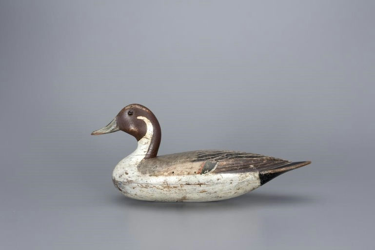 Stephen Lane – Pintail Drake – 2017