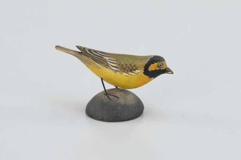 Elmer Crowell – Miniature Hooded Warbler – 2026
