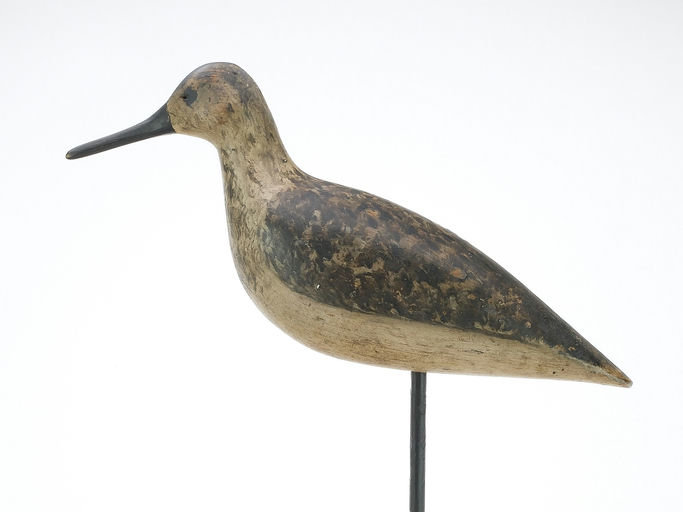 Harry V. Shourds – Yellowlegs – 2024